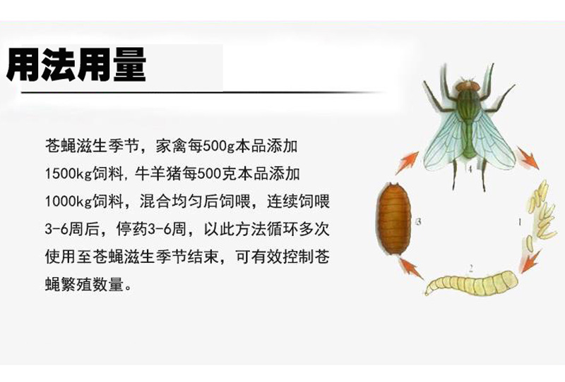 環2